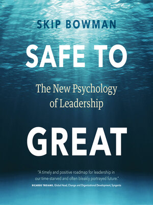cover image of Safe to Great